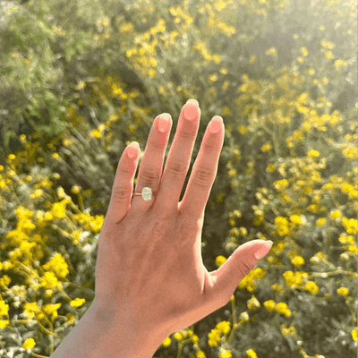 <br>It Happened, Thanks to Fiorese!